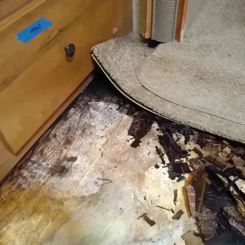 Wood Floor Water Damage in Leesburg, FL